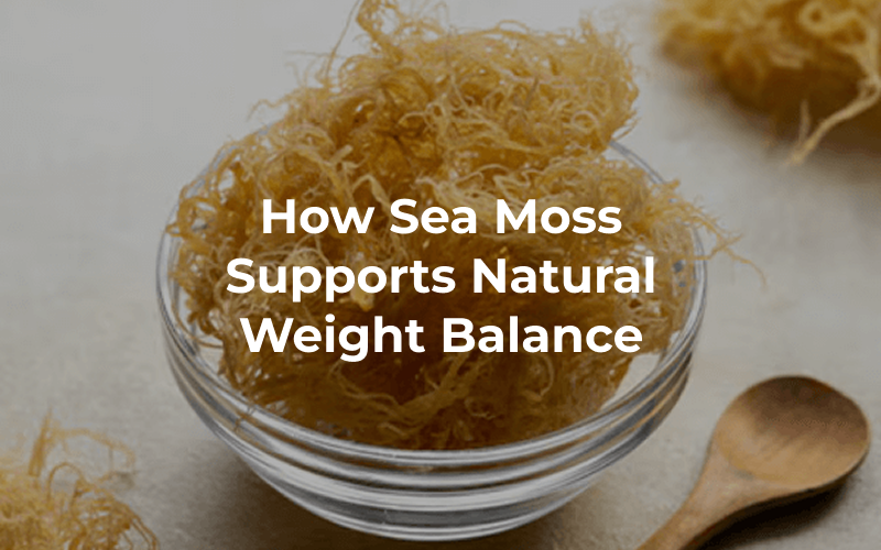 How Sea Moss Supports Natural Weight Balance – Rachel’s Perspective - Seamoss Global