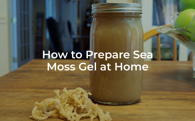 How to Prepare Sea Moss Gel at Home – Rachel’s Proven Method - Seamoss Global