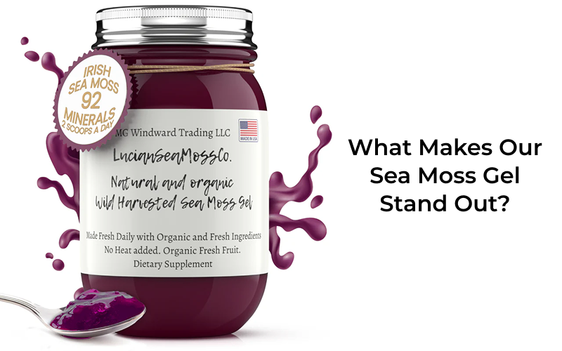 What Makes Our Sea Moss Gel Stand Out? - Seamoss Global