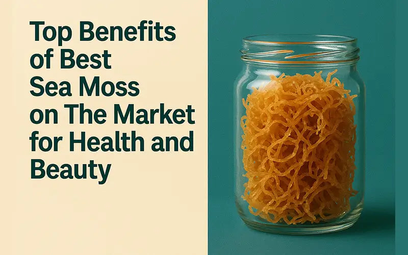 Top Benefits of Best Sea Moss on The Market for Health and Beauty - Seamoss Global