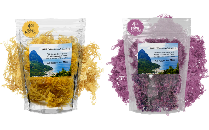 Raw Sea Moss: The Nutrient-Packed Superfood - Seamoss Global