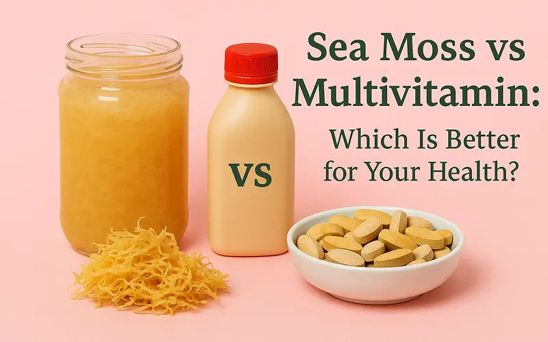 Sea Moss vs Multivitamin: Which Is Better for Your Health? - Seamoss Global