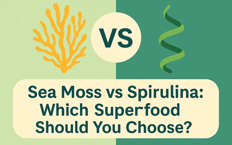 Sea Moss vs Spirulina: Which Superfood Should You Choose? - Seamoss Global