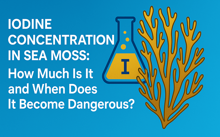 Iodine Concentration in Sea Moss: How Much Is It and When Does It Become Dangerous? - Seamoss Global