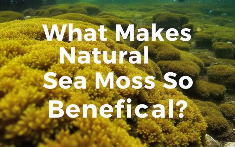 What Makes Natural Sea Moss So Beneficial? - Seamoss Global