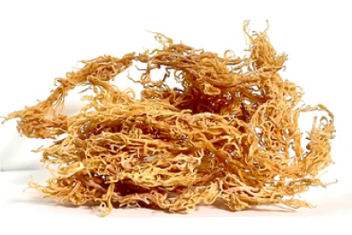 How Sea Moss Became My Secret Health Hack - Seamoss Global