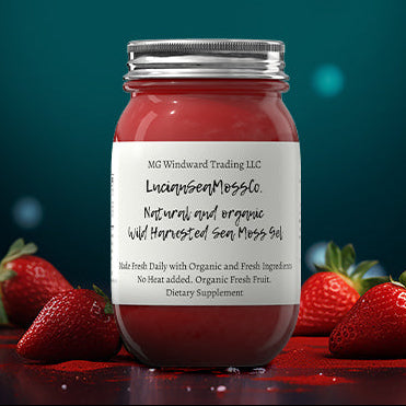 Organic Fresh Fruit Infused Sea Moss Gel 26 Flavor Choices! - Seamoss Global
