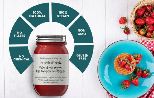 Organic MSM Infused Sea Moss Gel - Seamoss Global