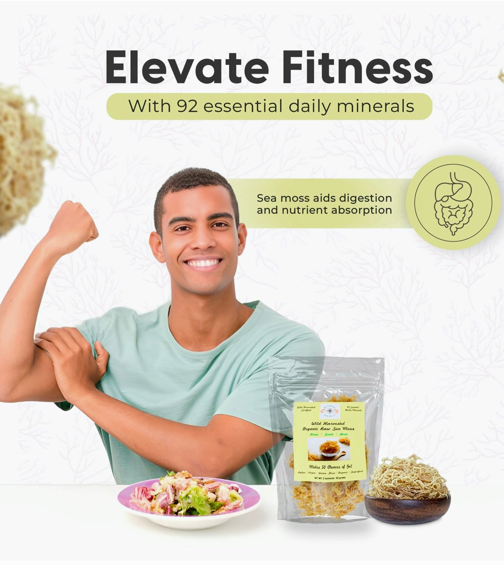 Organic Colostrum Infused Sea Moss Gel - Seamoss Global