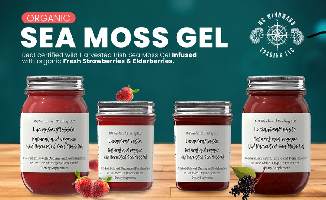 Aloe Vera Infused Organic Sea Moss Gel - Seamoss Global