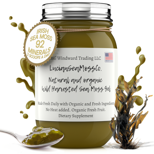 Bladderwrack and Burdock Root Infused Organic Sea Moss Gel - Seamoss Global