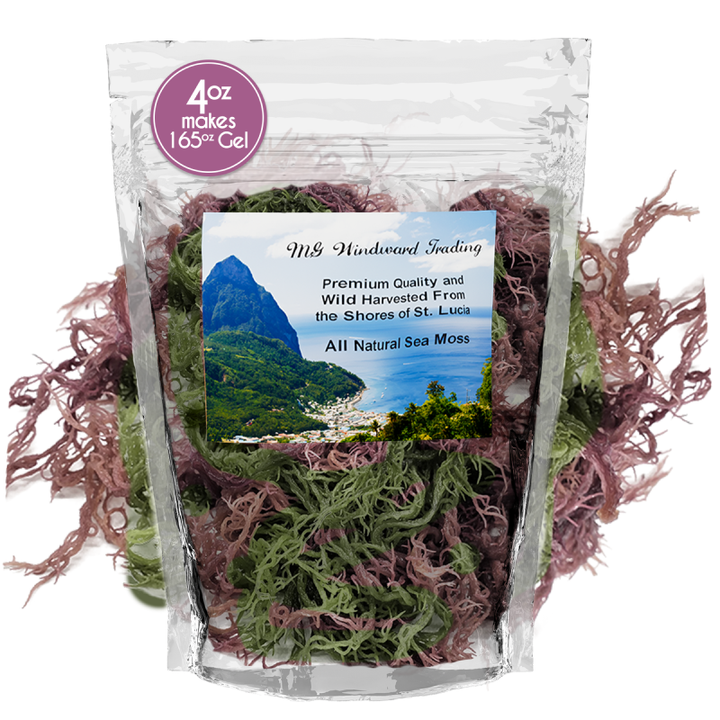 Pure Certified Wild Harvested Full Spectrum Organic Raw Sea Moss - Seamoss Global