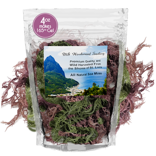 Pure Certified Wild Harvested Full Spectrum Organic Raw Sea Moss - Seamoss Global