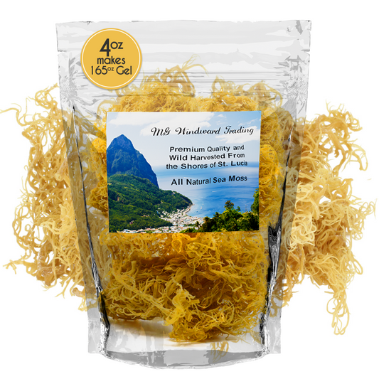 Certified Pure Wild Harvested Organic Gold Raw Sea Moss - Seamoss Global