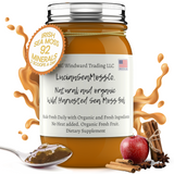 Fresh Organic Apple Cinnamon Infused Sea Moss Gel - Seamoss Global