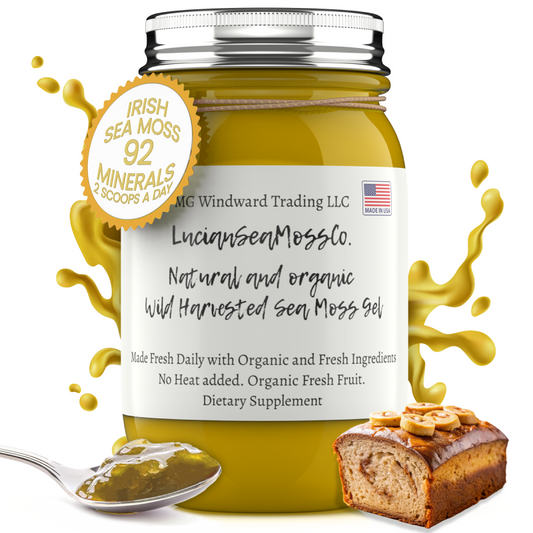 Fresh Organic Banana Bread Infused Sea Moss Gel - Seamoss Global