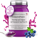 Fresh Organic Blueberry Infused Sea Moss Gel - Seamoss Global