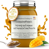Fresh Organic Mango Infused Sea Moss Gel - Seamoss Global