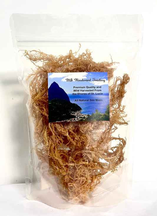 Certified Pure Wild Harvested Organic Gold Raw Sea Moss - Seamoss Global