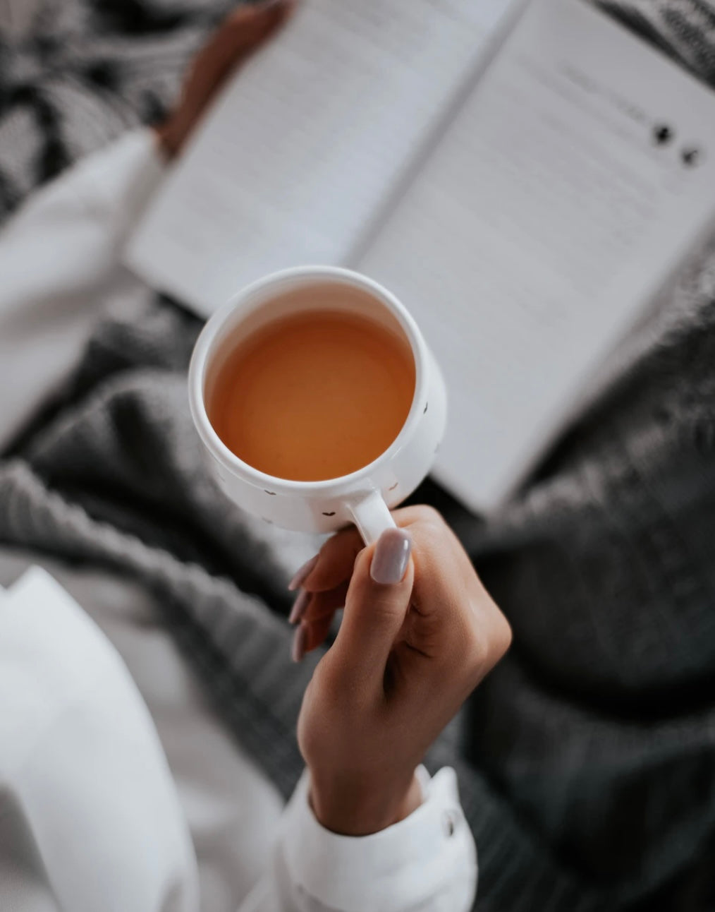 Premium Irish Sea Moss Herbal Teas - Seamoss Global