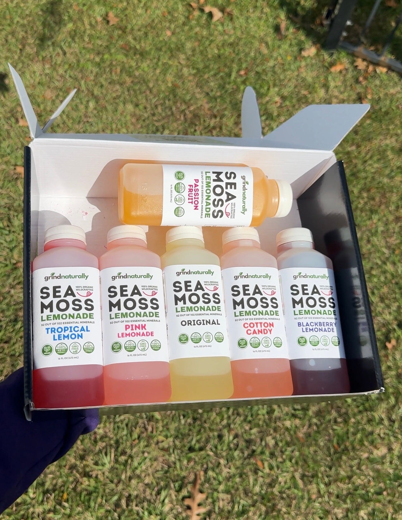 Sea Moss Lemonade (16oz)