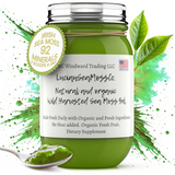 Matcha Green Tea Infused Organic Sea Moss Gel - Seamoss Global
