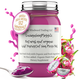 Organic Dragon Fruit Infused Sea Moss Gel - Seamoss Global