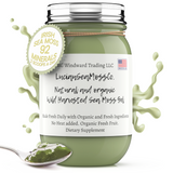 Organic Green Wild Harvested Sea Moss Gel - Seamoss Global