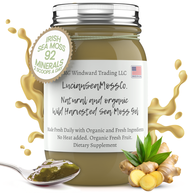 Organic MSM Infused Sea Moss Gel - Seamoss Global