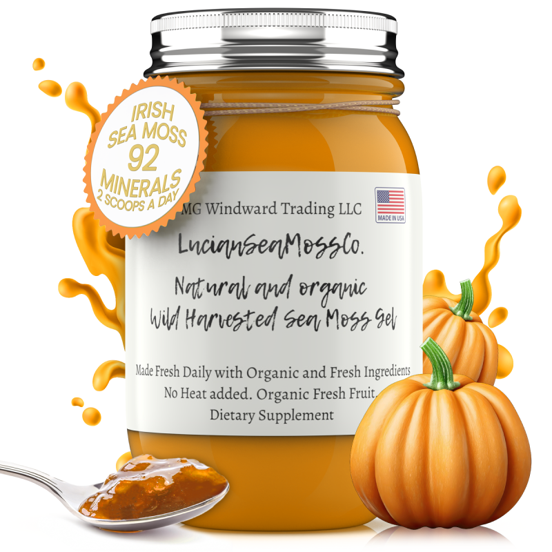 Organic Pumpkin Pie Infused Sea Moss Gel - Seamoss Global