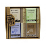 Herbal Soap 4 Pack