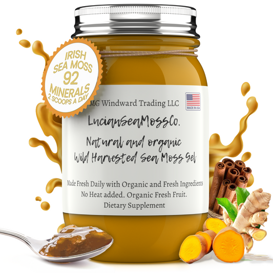 Organic Turmeric Infused Sea Moss Gel | Turmeric Cinnamon Ginger, or Turmeric Chai - Seamoss Global