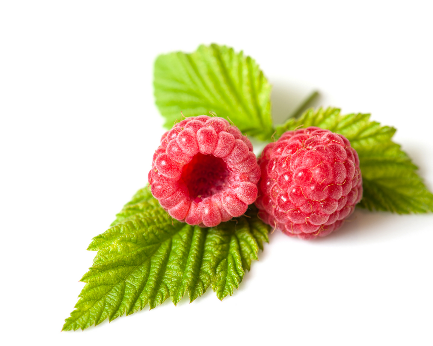 Raspberry - Keto Capsules