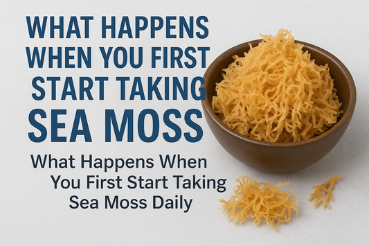 sea moss daily benefits