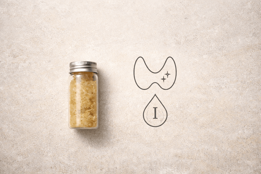Sea moss and thyroid health guide focusing on iodine balance.