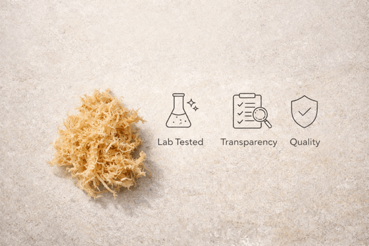 Organic sea moss guide emphasizing lab testing and transparency.