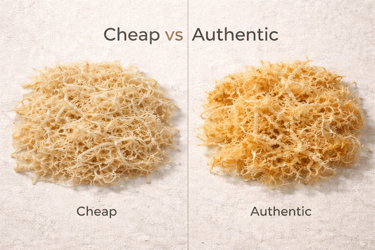 Comparison showing differences between cheap sea moss and authentic raw sea moss.