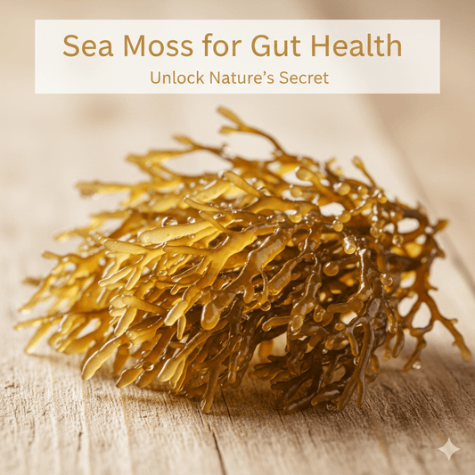 “Raw sea moss displayed on a wooden surface representing gut health and digestion benefits.