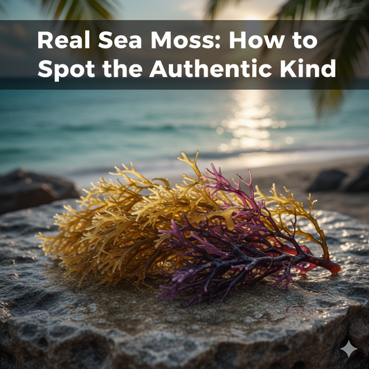 Close-up of moist, raw sea moss laid on a textured natural stone, with a blurred tropical blue ocean background. Text: "Real Sea Moss: How to Spot the Authentic Kind.