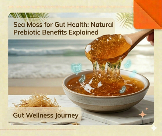 colorful beneficial bacteria and prebiotic fibers from sea moss gel jar in foreground, golden sea moss gel texture