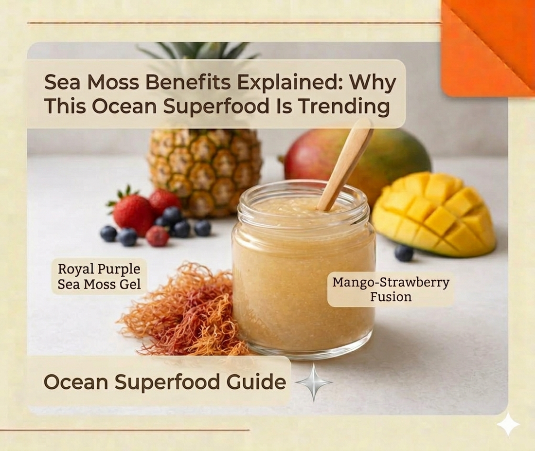 Sea Moss Benefits Explained: Why This Ocean Superfood Is Trending
