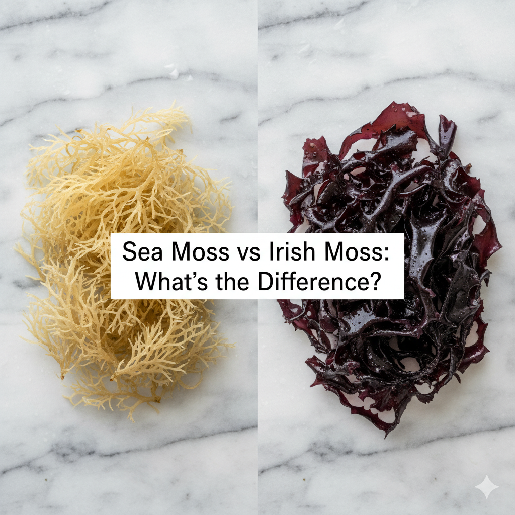 Comparison of golden sea moss and purple Irish moss showing texture and color differences.