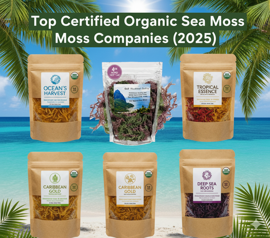 Various certified organic sea moss products from trusted companies displayed on a tropical background