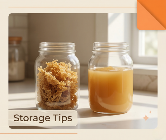 Does Sea Moss Expire? Shelf Life of Raw vs Gel Explained