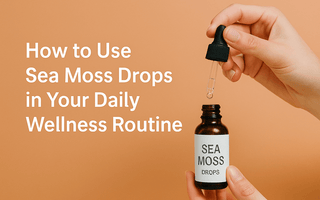 How to Use Sea Moss Drops in Your Daily Wellness Routine