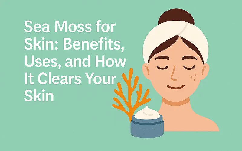 Sea Moss for Skin: Benefits, Uses, and How It Clears Your Skin