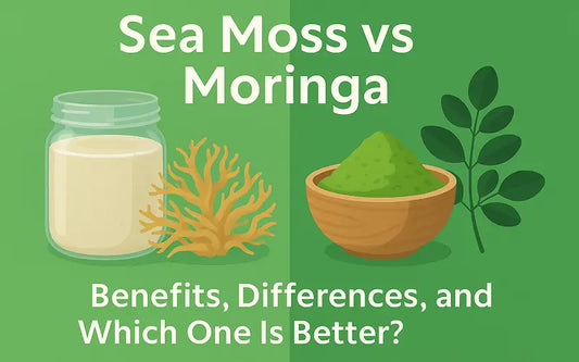 Sea Moss vs Moringa: Benefits, Differences, and Which One Is Better? - Seamoss Global