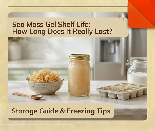 Sea moss gel shelf life and storage with raw sea moss and frozen gel portions