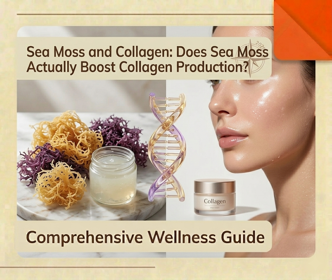 Sea moss and collagen relationship for healthy skin