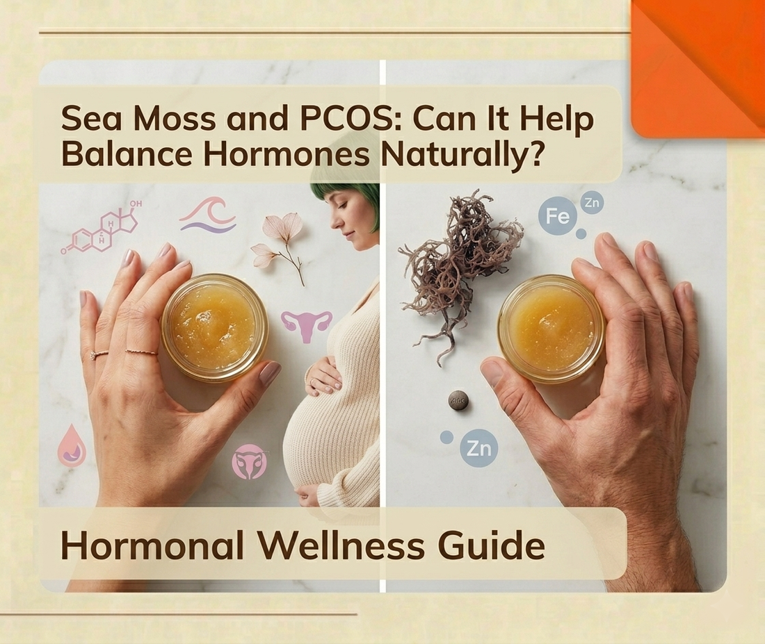 Sea moss for PCOS hormone balance concept